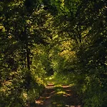 View Tornow Fürstenberg-Havel