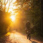 View Tornow Alpesi faház *