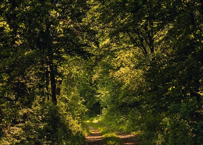 View Fürstenberg-Havel