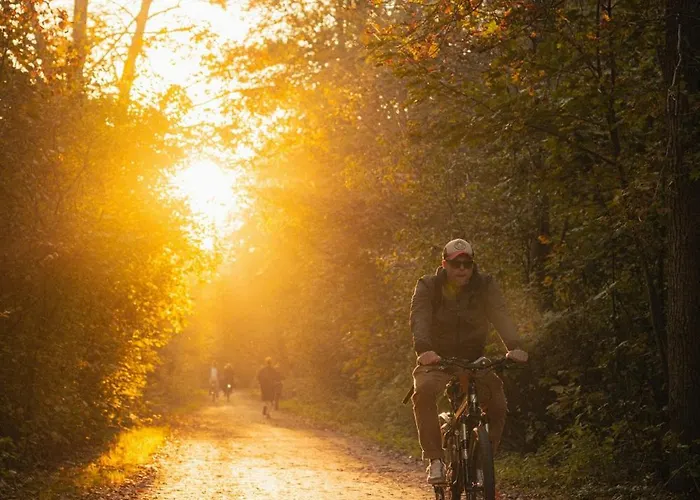 View Domek alpejski *